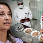 Qaliwarma case: horse meat would have been marketed since Dina Boluarte's management in MIDIS