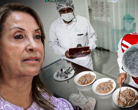 Qaliwarma case: horse meat would have been marketed since Dina Boluarte's management in MIDIS