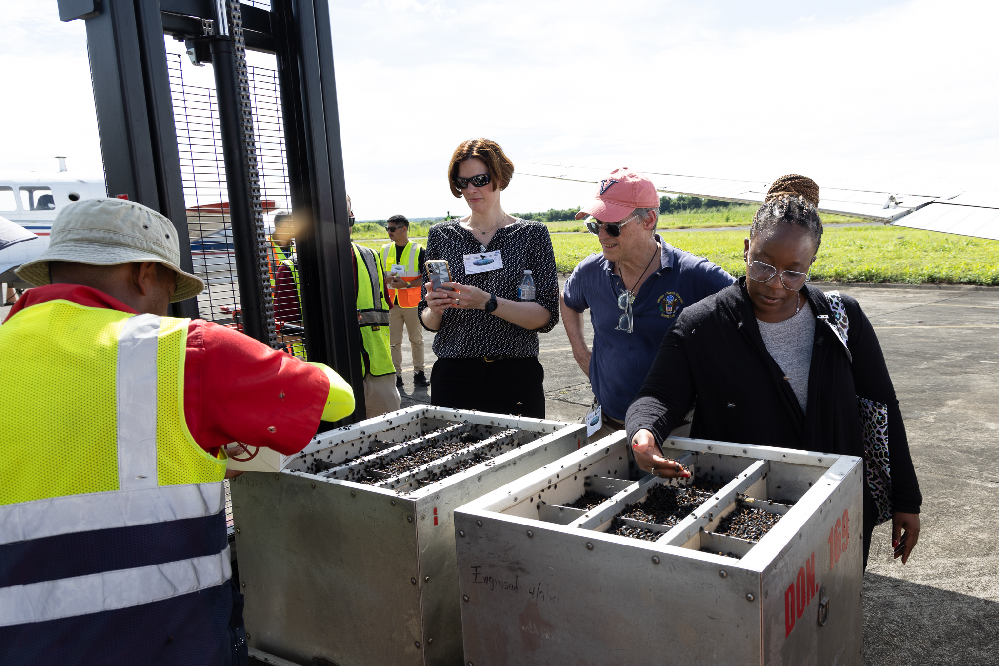 Scientists from the United States arrive in Nicaragua to help stop the screwworm