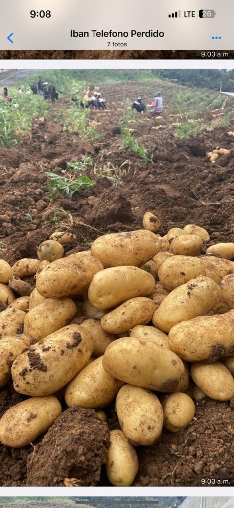 RD es autosuficiente en la producción de arroz, papa, pollo, y otros alimentos, según Agricultura