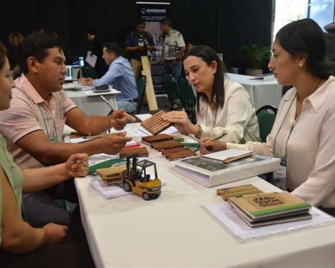 The Forest Business Meeting to promote forest products will be held in Guarayos