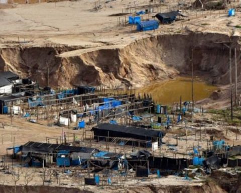 The Prosecutor's Office estimates that there would be at least 300 thousand illegal miners in Peru