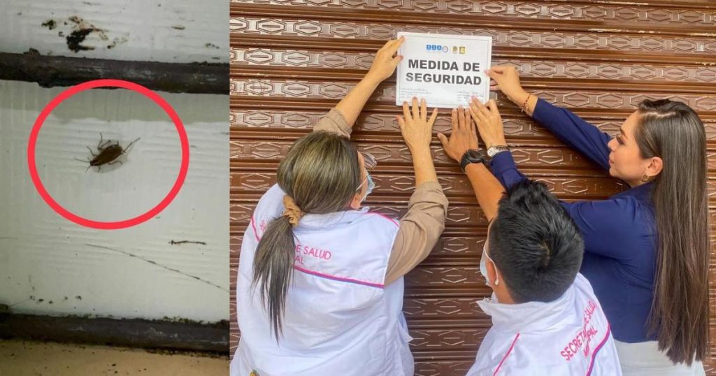 They close a bakery in Ibagué: they found cockroaches in the flour and in the cake boxes