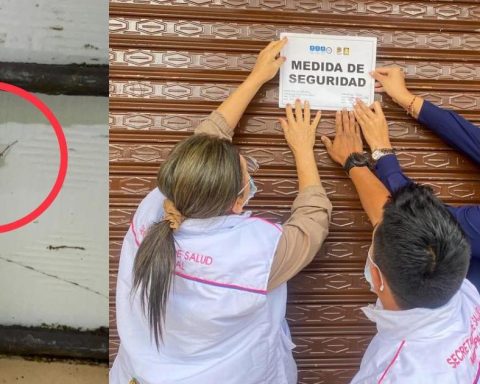 They close a bakery in Ibagué: they found cockroaches in the flour and in the cake boxes