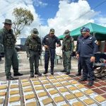 They seize 50 kilos of drugs in the northern area of ​​Táchira