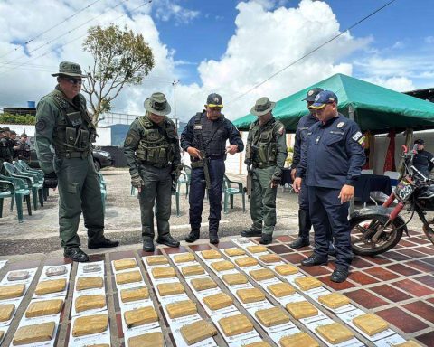 They seize 50 kilos of drugs in the northern area of ​​Táchira