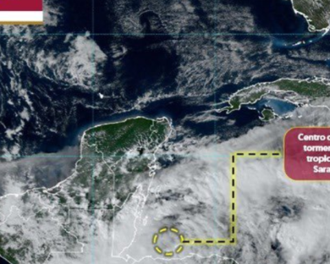 Tropical Storm Sara approaches the Yucatan Peninsula: intense rains are predicted