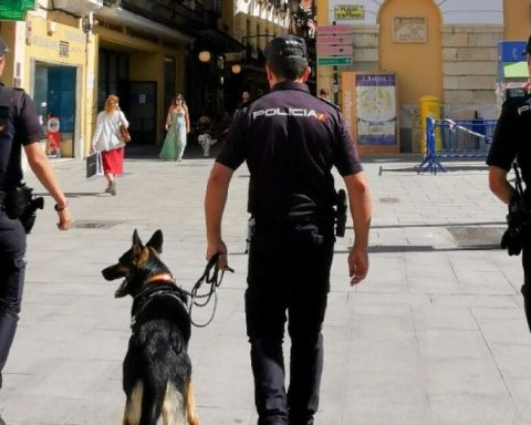 Two operators of the "Chapitos" they are detained; one in Mexico and one in Spain