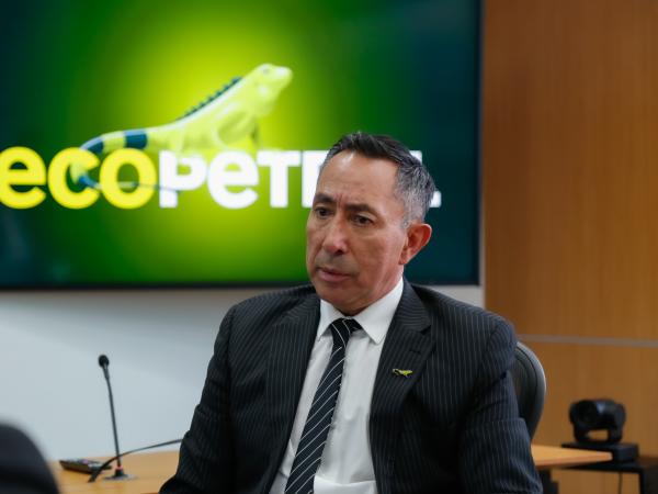 'Vice presidencies are going to disappear and management positions will be reduced': president of Ecopetrol