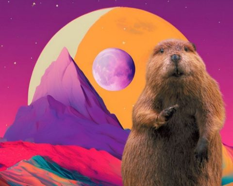 What day in November can the Beaver Moon be seen from Chile?