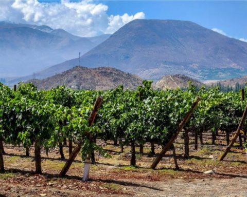 Which Chilean vineyard is among the best in the world, according to World's Best Vineyards