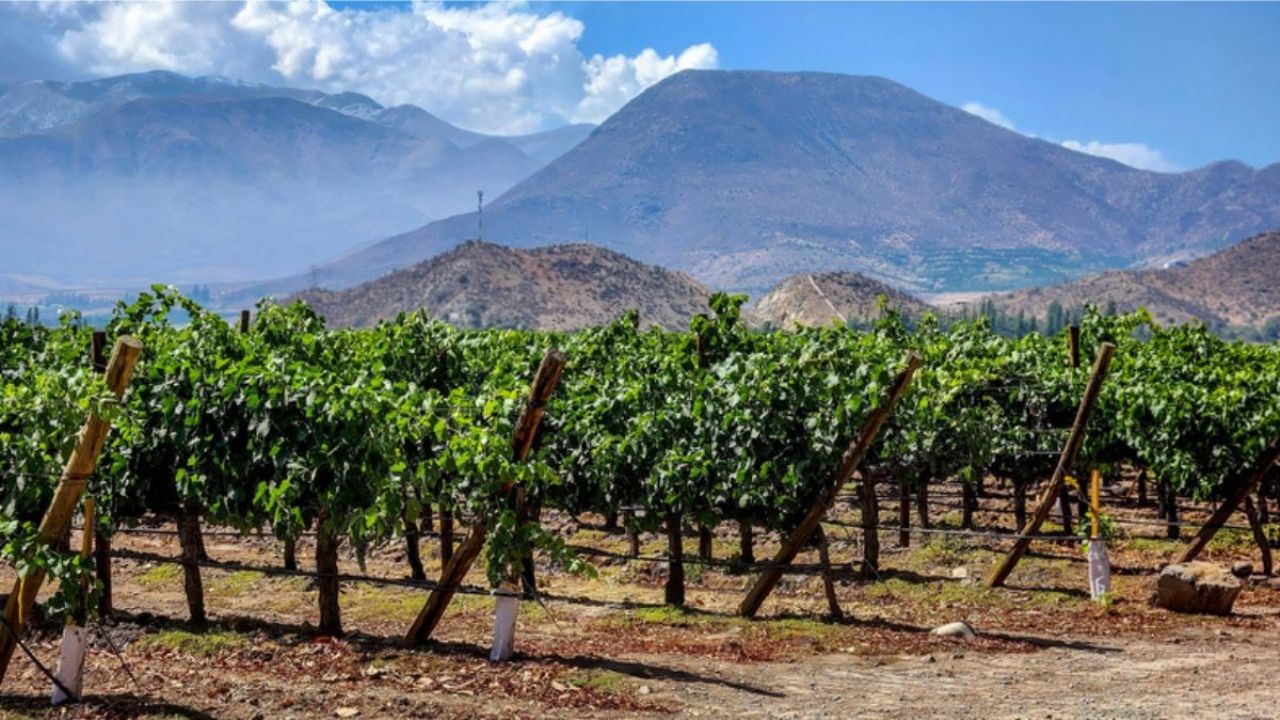 Which Chilean vineyard is among the best in the world, according to World's Best Vineyards