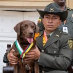 'Rigo`, el perro de la Policía que será sometido a la eutanasia