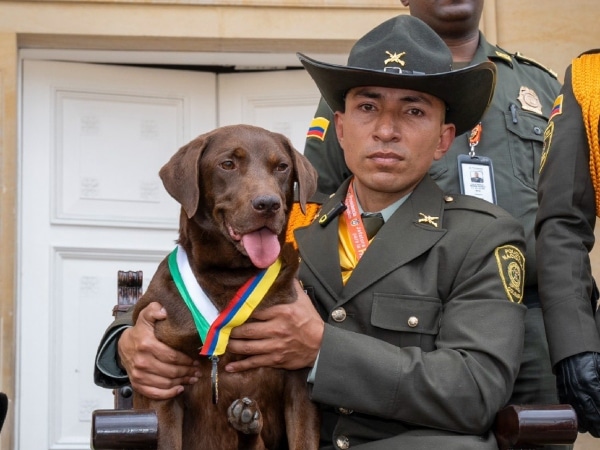 'Rigo`, el perro de la Policía que será sometido a la eutanasia