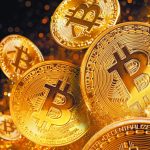 2024, the year of bitcoin: What drove its appreciation?