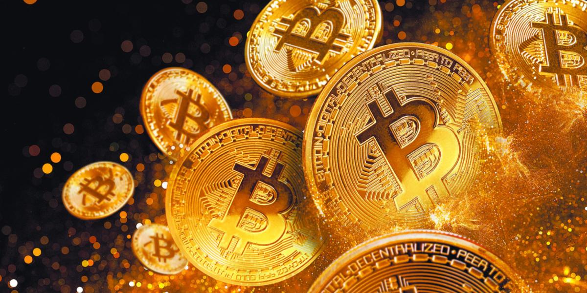 2024, the year of bitcoin: What drove its appreciation?