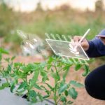 Agrifoodtech sector could grow 8.1% until 2028