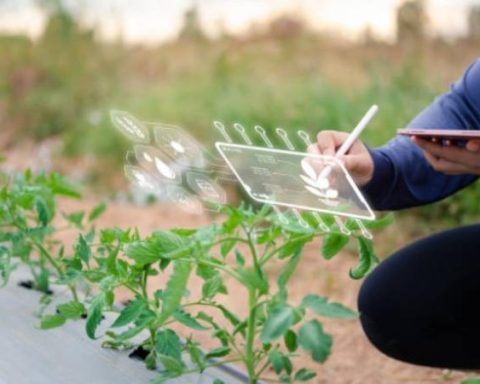 Agrifoodtech sector could grow 8.1% until 2028