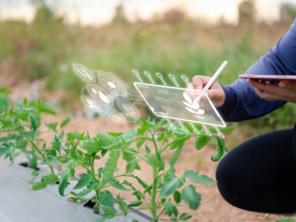 Agrifoodtech sector could grow 8.1% until 2028