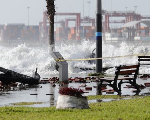 Anomalous waves on the Peruvian coast will extend beyond January 1