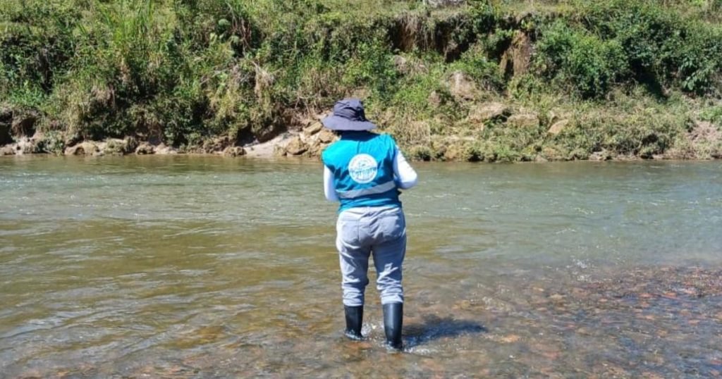 Authorities investigate strange death of fish in the Antioquia river