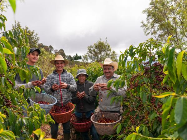 Banco de Bogotá extends its alliance with the National Federation of Coffee Growers for 10 years