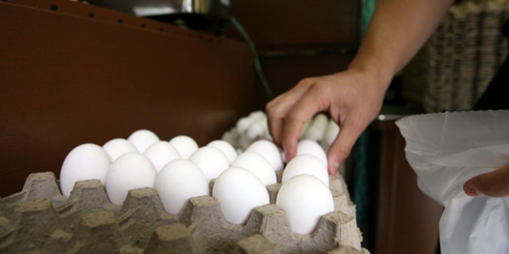 Bird flu raises US egg prices to record highs before Christmas