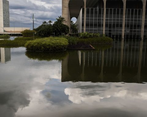 Brazil is elected to a new term on the UN peace committee