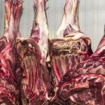 China opens investigation into beef imports