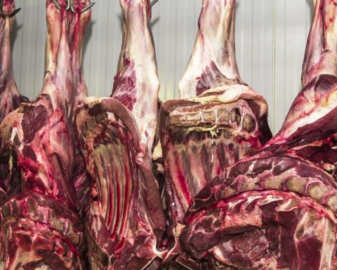 China opens investigation into beef imports