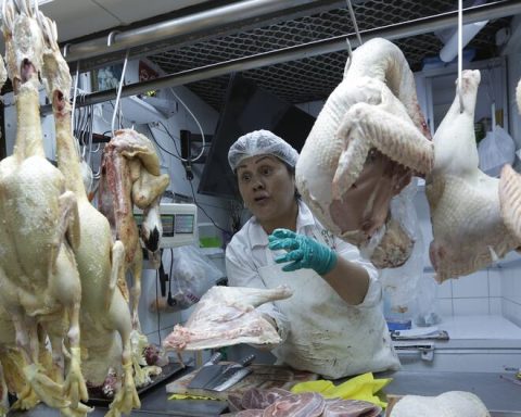 Christmas in Arequipa: People come to the markets to separate turkey from S/17.00