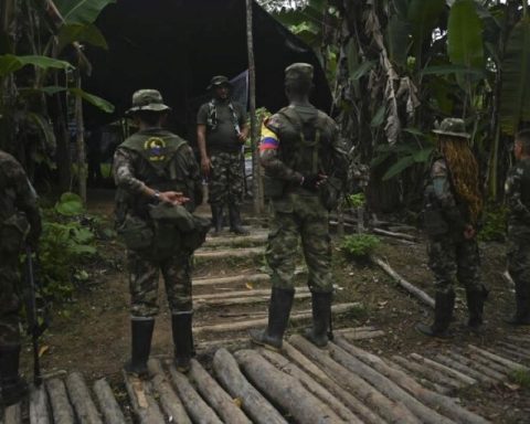 Colombian Army captures a leader and five other FARC dissidents