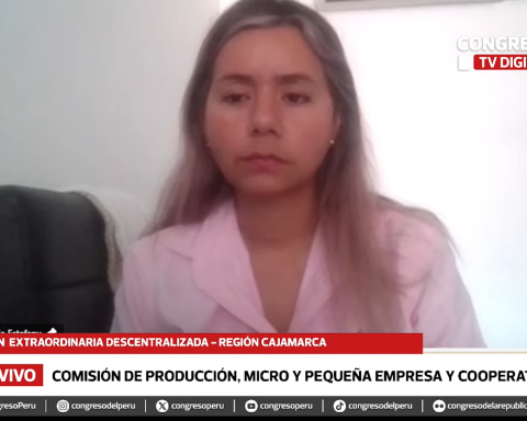 Congresswoman Tania Ramírez criticizes the technical secretary, but he responds: "There is a lot of improvisation directing commissions"