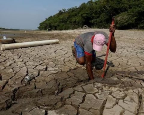 Dean of the College of Economists: “Losses due to drought can exceed 2 billion dollars in Piura”