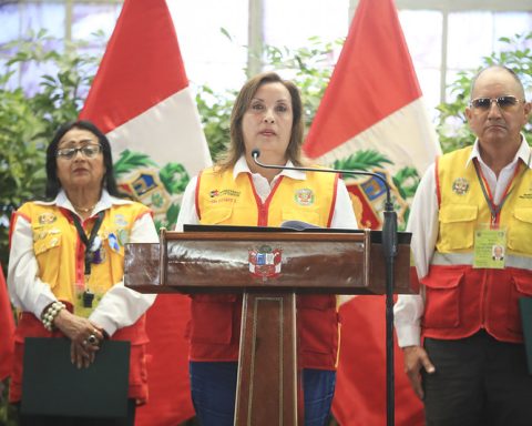 Dina Boluarte. (Presidencia)