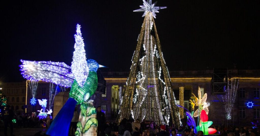 Do fights and violence mark the December festivities in Bogotá? Police respond