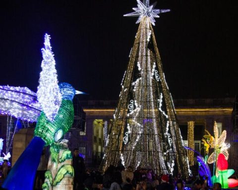 Do fights and violence mark the December festivities in Bogotá? Police respond