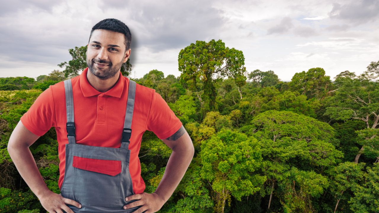 Do you want to work at the Ministry of the Environment in Santiago? These are the vacancies in the RM with salaries available from $2,600,000