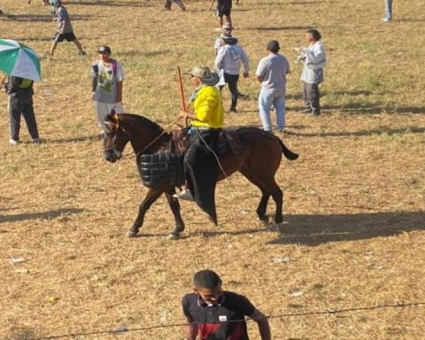 Eight injured people left the first day of corralejas in the municipality of Caucasia, under Cauca, Antioquia