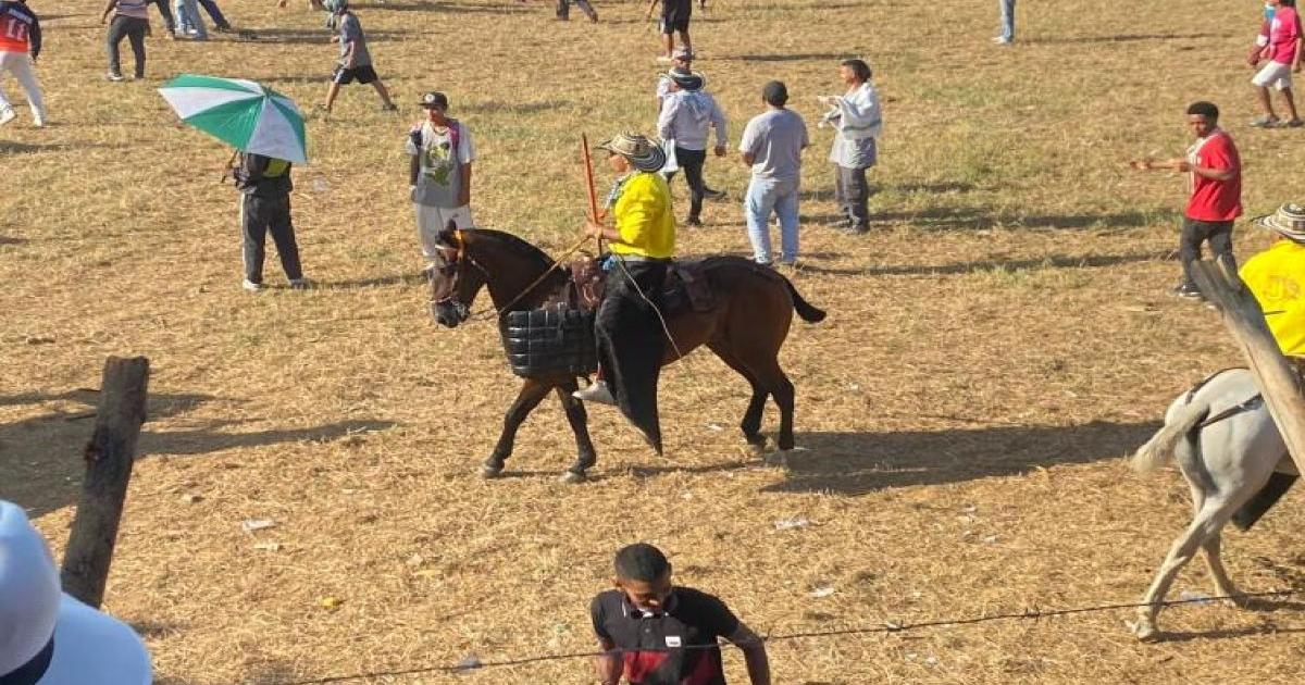 Eight injured people left the first day of corralejas in the municipality of Caucasia, under Cauca, Antioquia