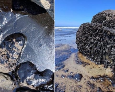 Environmental disaster in Piura: Oil spill reported on Talara beaches