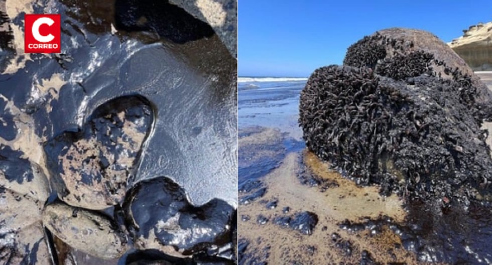 Environmental disaster in Piura: Oil spill reported on Talara beaches