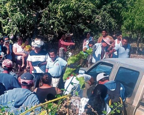 Farmer dies in traffic accident in Piura