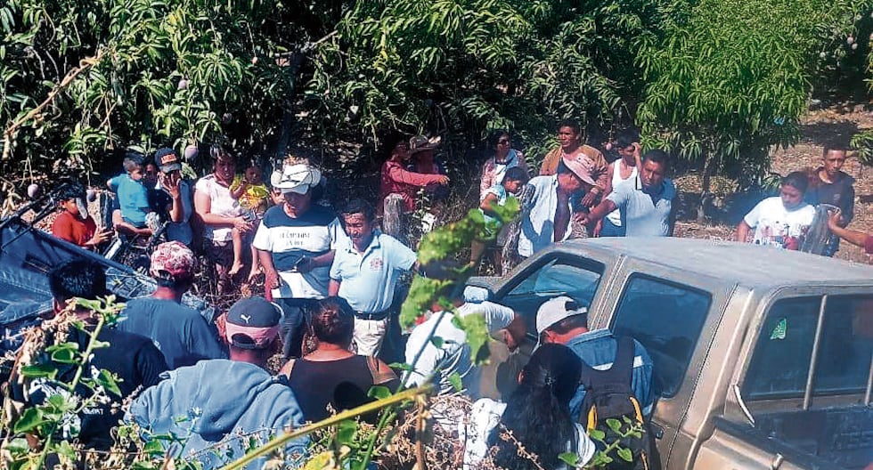 Farmer dies in traffic accident in Piura