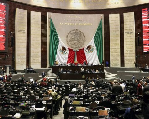 From AMLO and Sheinbaum, 80% of initiatives approved by Congress