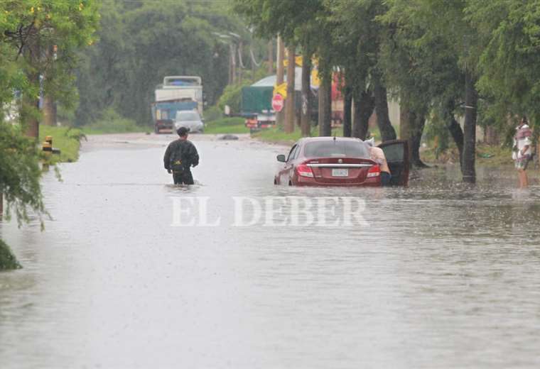 Heavy downpour in Santa Cruz de la Sierra leaves flooding and fallen trees