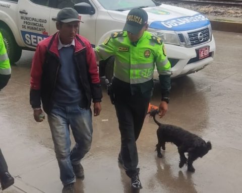 Huancayo: They find a missing elderly adult with his faithful pet 'chato'