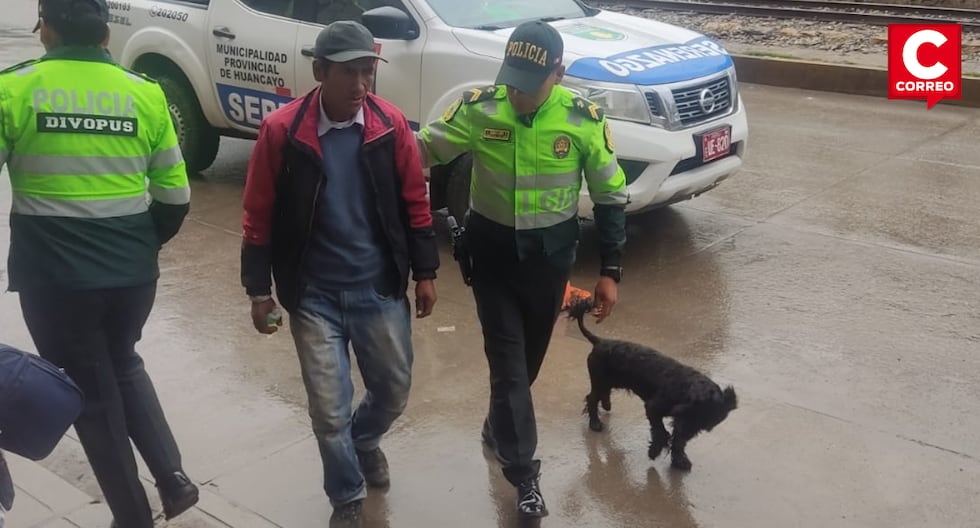 Huancayo: They find a missing elderly adult with his faithful pet 'chato'