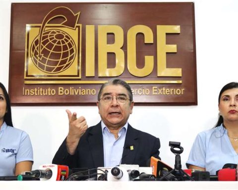 IBCE: Foreign trade suffers a drop of almost $us 3,000 million in 2024