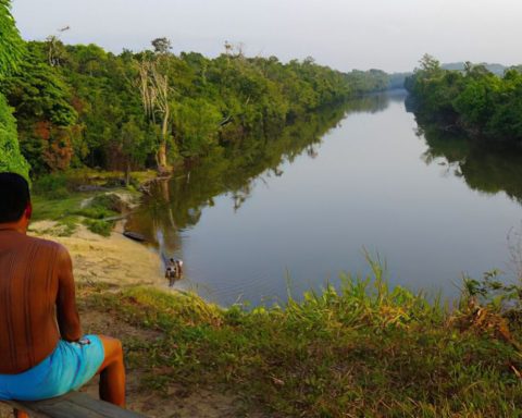 Indigenous lands in the Amazon influence rainfall that supplies agriculture